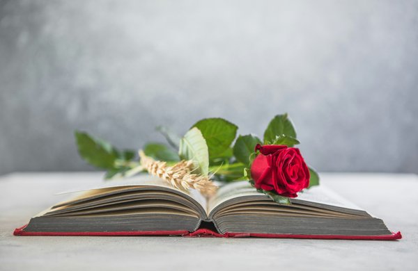 Vermifuge chat liquide : un allié pour la santé de votre compagnon